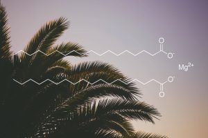 Der Umwelt und den Naturstoffen verpflichtet: Ab 01.12.2017: Pharmazeutischer Rohstoff Magnesiumstearat nicht mehr aus Palmöl Herstellung